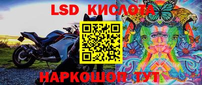 крисы Будённовск