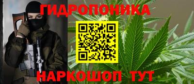 крисы Будённовск