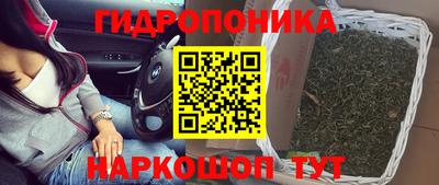 крисы Будённовск