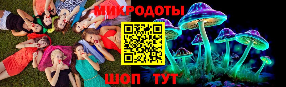 Галлюциногенные грибы Psilocybine cubensis Нижний Тагил